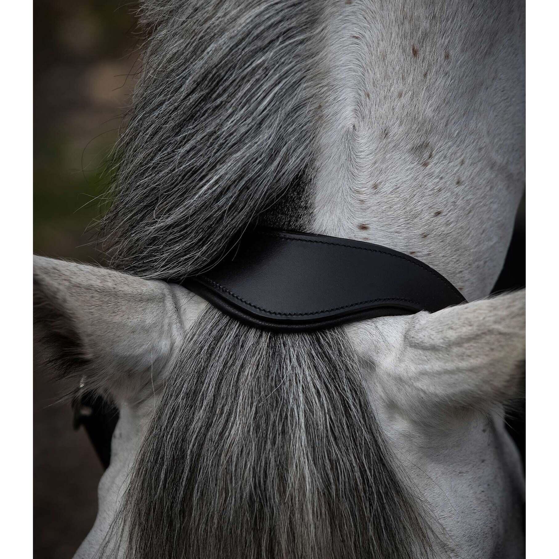 Licol pour cheval anatomique roulé cuir Premier Equine Hennaroso 4/4