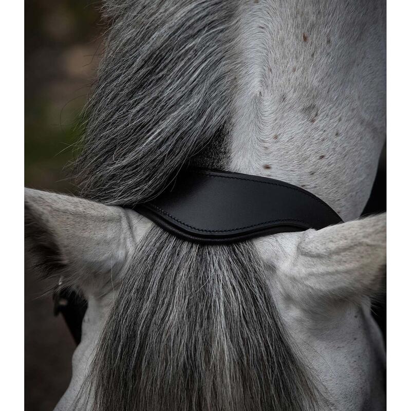 Anatomisch gerold lederen halster voor paarden Premier Equine Hennaroso