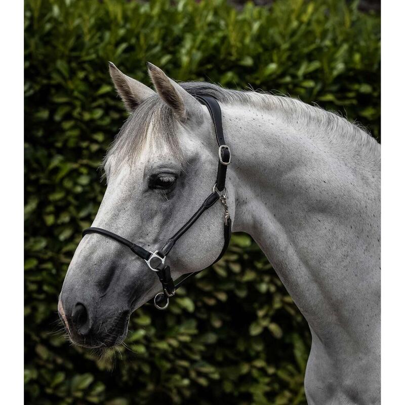 Anatomisch gerold lederen halster voor paarden Premier Equine Hennaroso