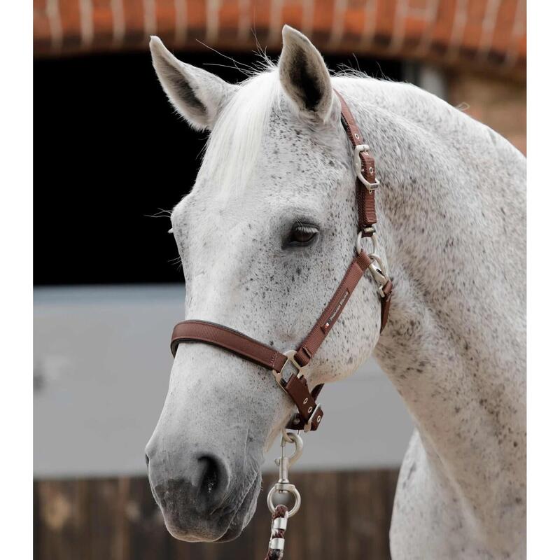 Cavezza per cavalli semplice Premier Equine