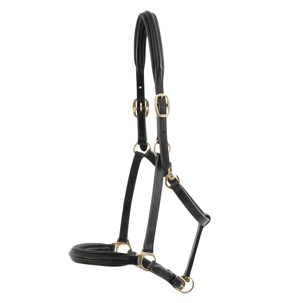 Leather padded horse halter Premier Equine