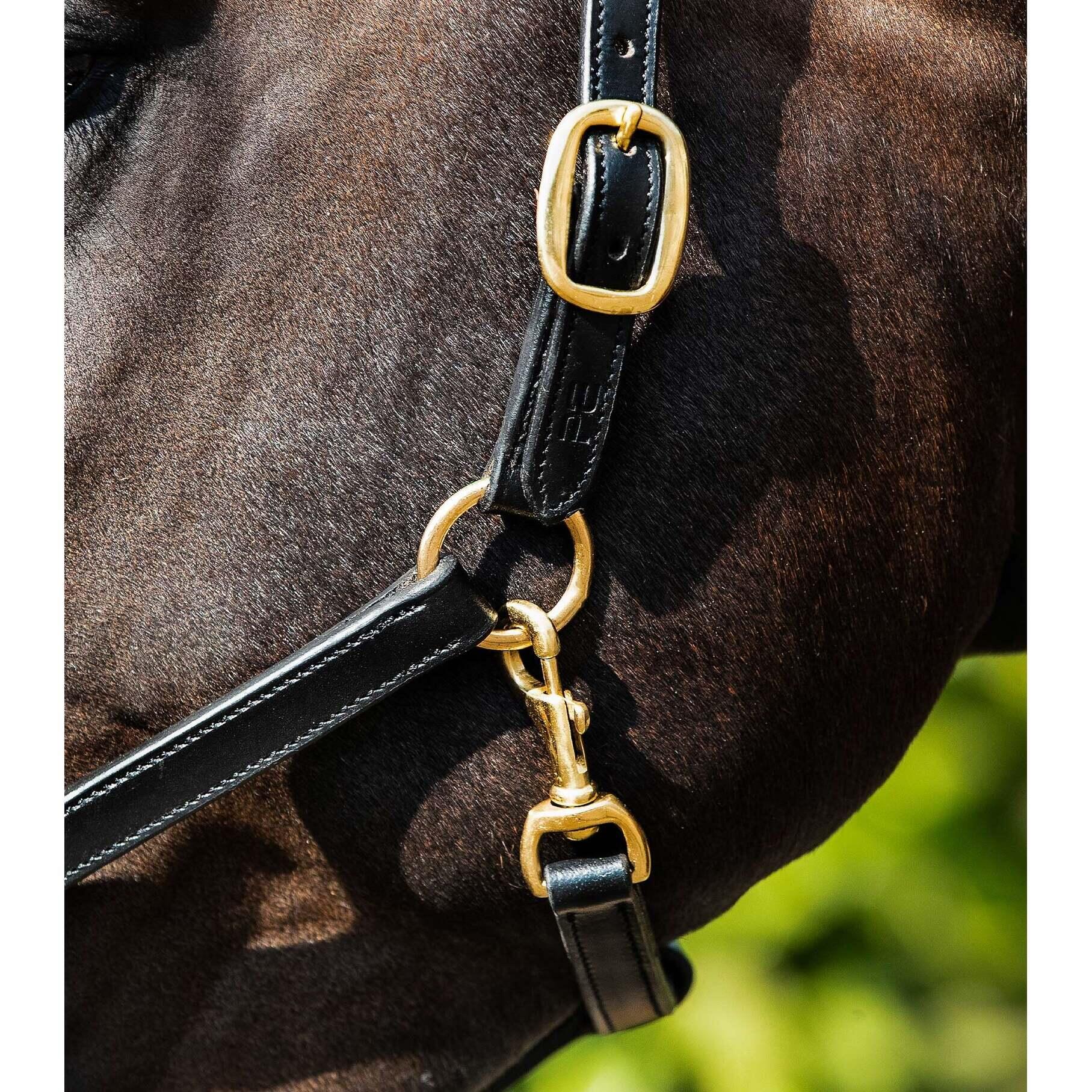 Licol pour cheval rembourré cuir Premier Equine 3/4