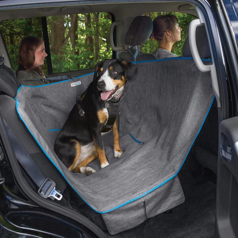 Couverture pour voiture avec bouteille de voyage pour Chien