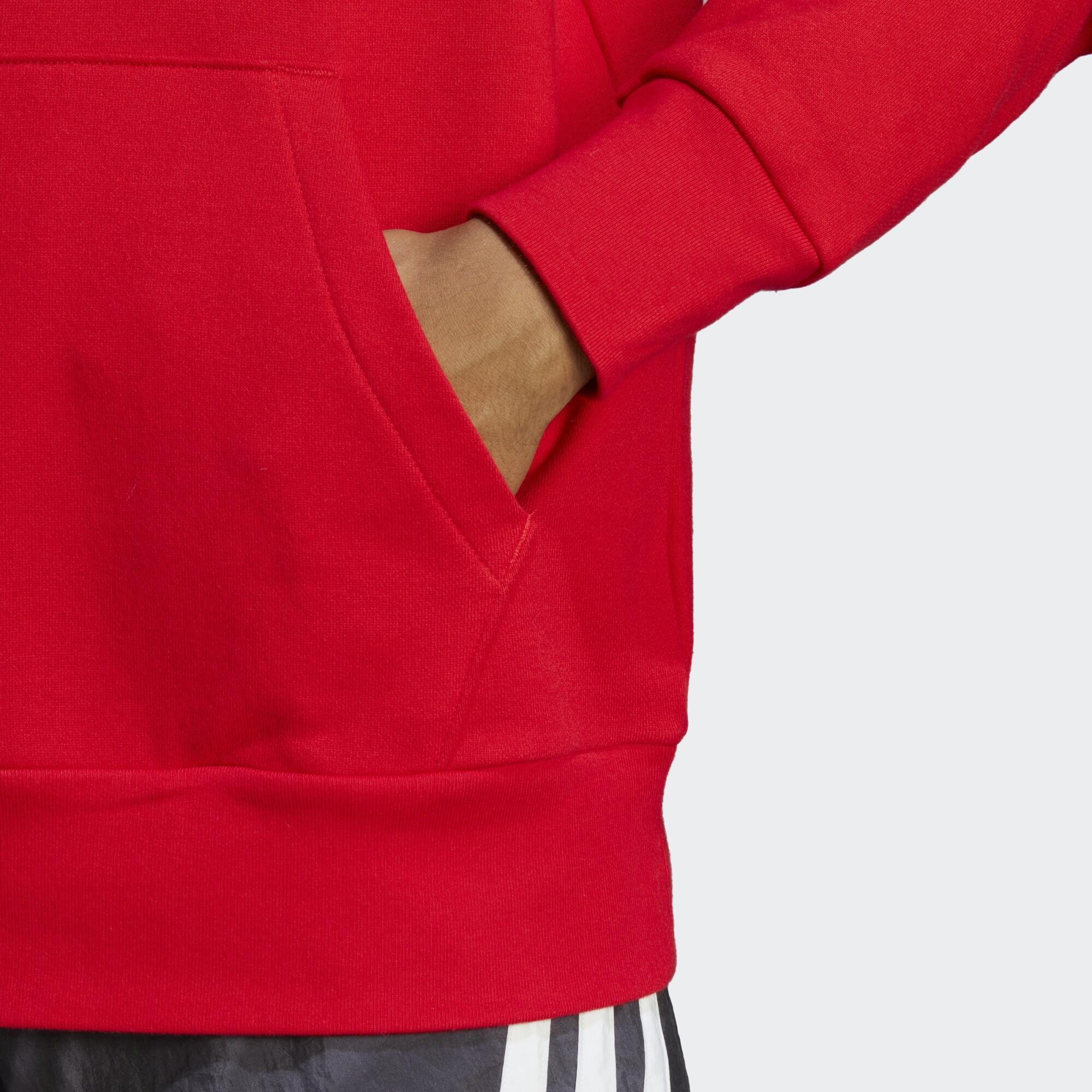 Sweat-shirt à capuche en molleton Essentials Big Logo 5/5