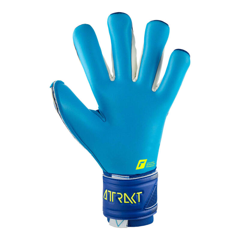 Gants de gardien de but Reusch Attrakt Aqua