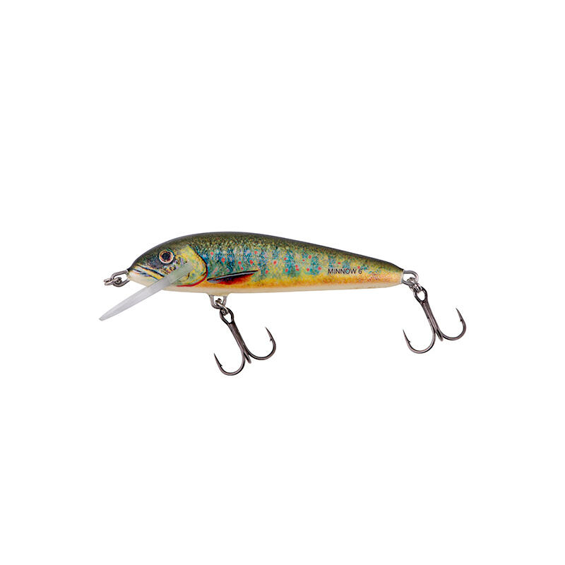 Leurre dur mer Salmo Lake Charr 6F