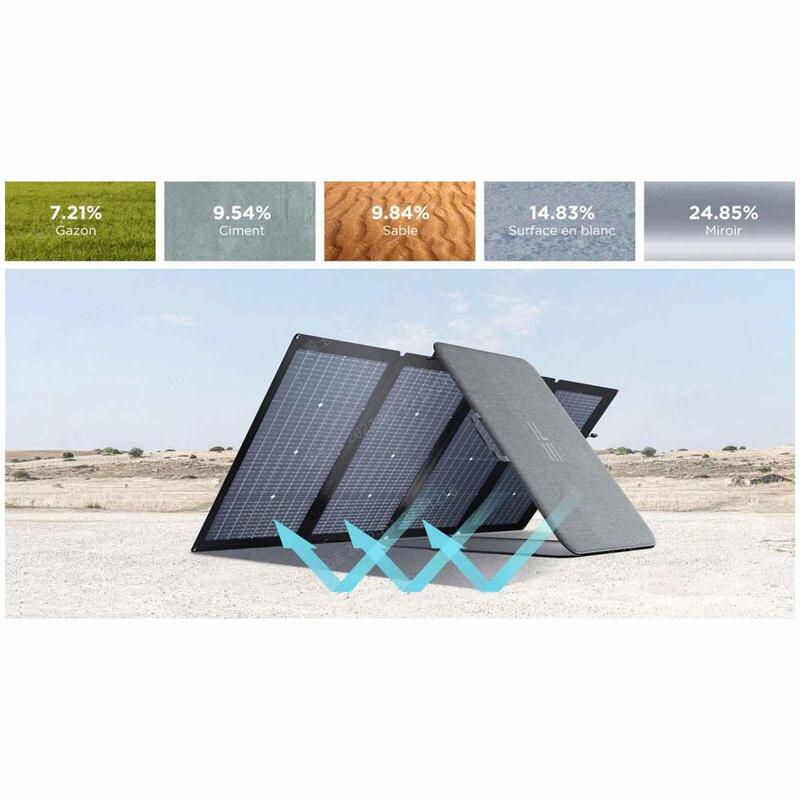 EcoFlow panneau solaire portable Bifacial 220W