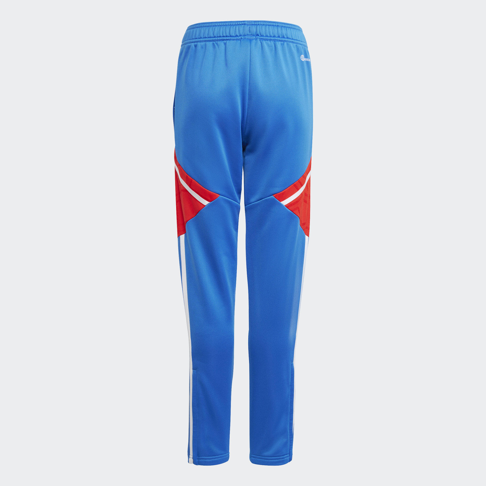 Pantaloni da allenamento Condivo 22 FC Bayern München 4/5