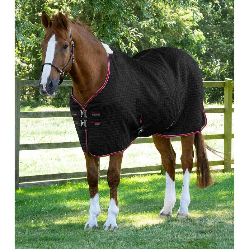 Coperta di asciugatura Premier Equine Dry-Tech