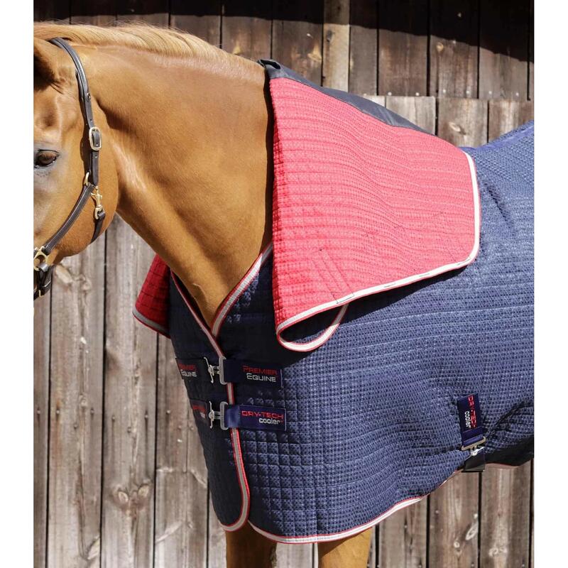 Couverture séchante avec couvre-cou Premier Equine Dry-Tech