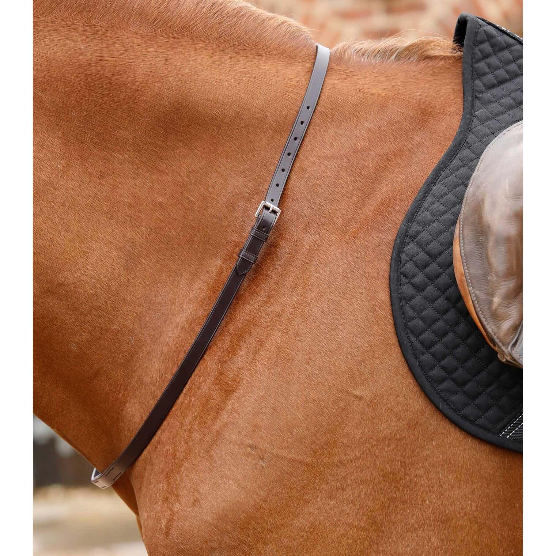 Sangle de cou pour cheval Premier Equine Altino 4/4