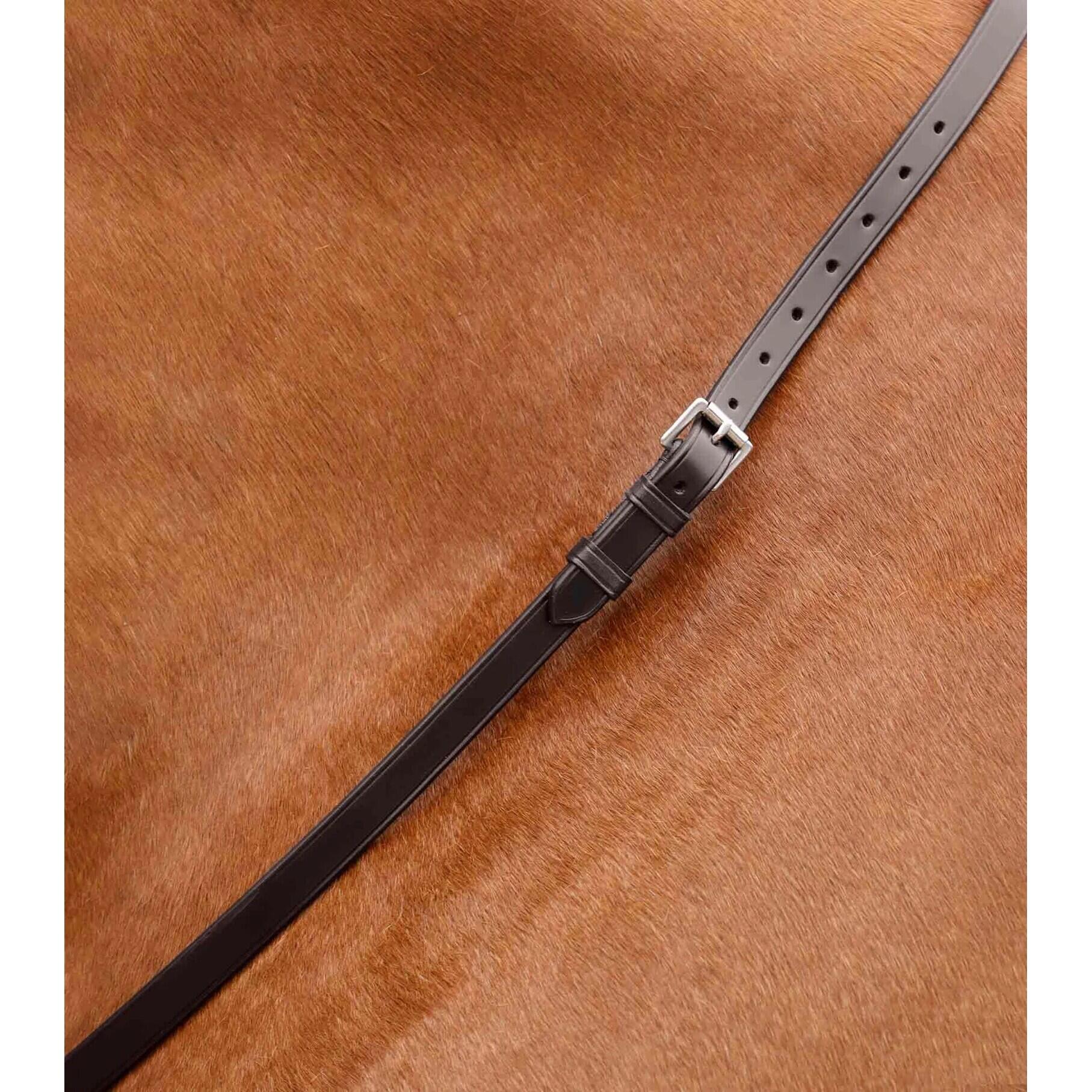 Sangle de cou pour cheval Premier Equine Altino 3/4