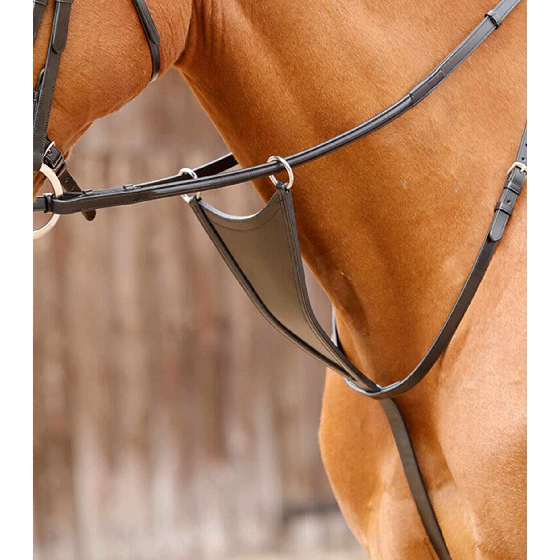 Martingala con pettorale Premier Equine Rosello 2/3
