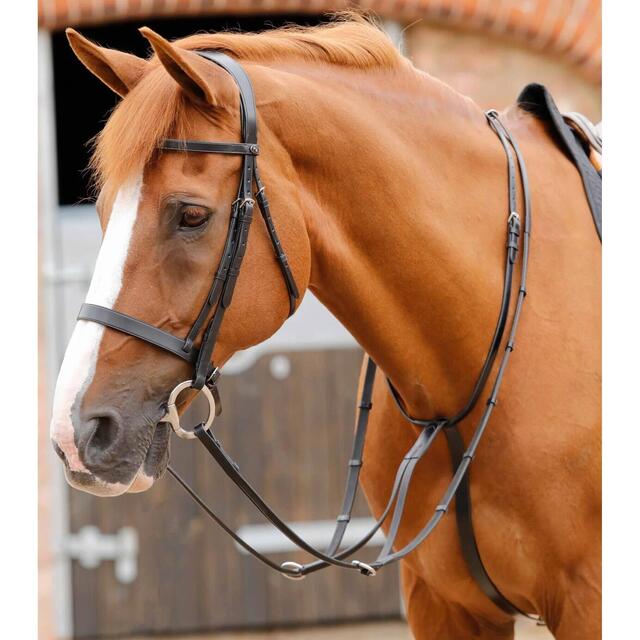 Martingala HorseBallTech hecha de Biothane® - marrón - Array Martingala HorseBallTech hecha de Biothane® - marrón - Array