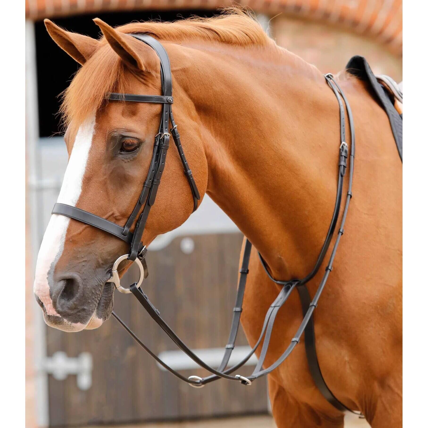 Martingale for horses Premier Equine Fuscaldo