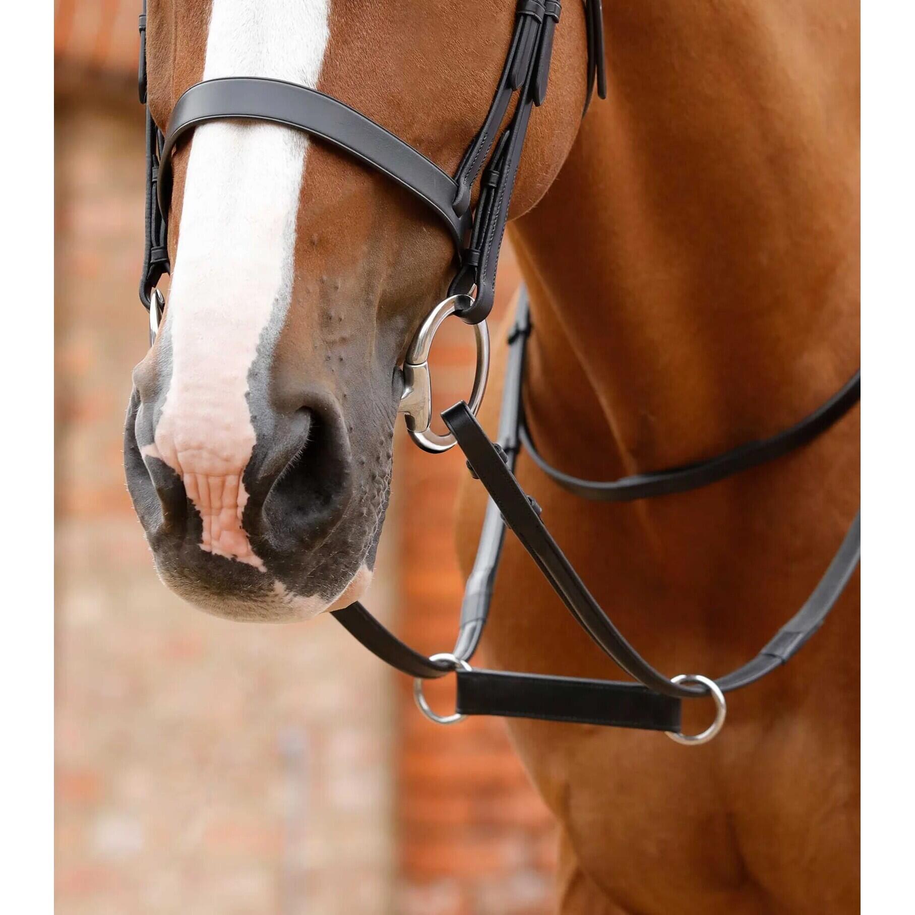 PREMIER EQUINE Martingala per cavalli Premier Equine Esperia Irish