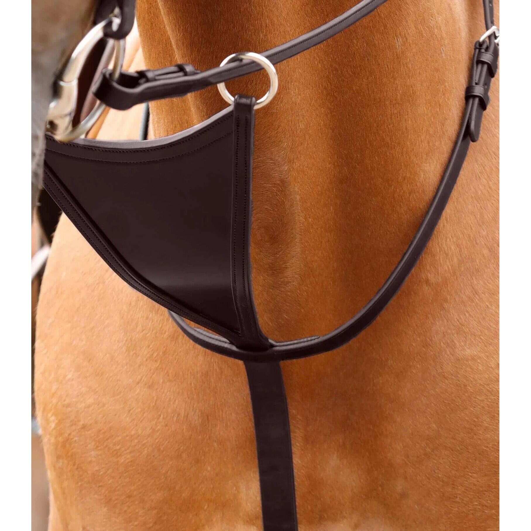 Premier Equine Martingala con pettorale Rosello