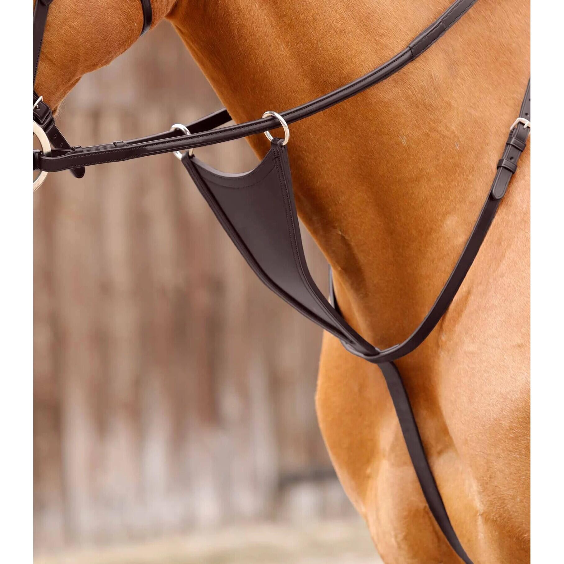 Premier Equine Martingala con pettorale Rosello