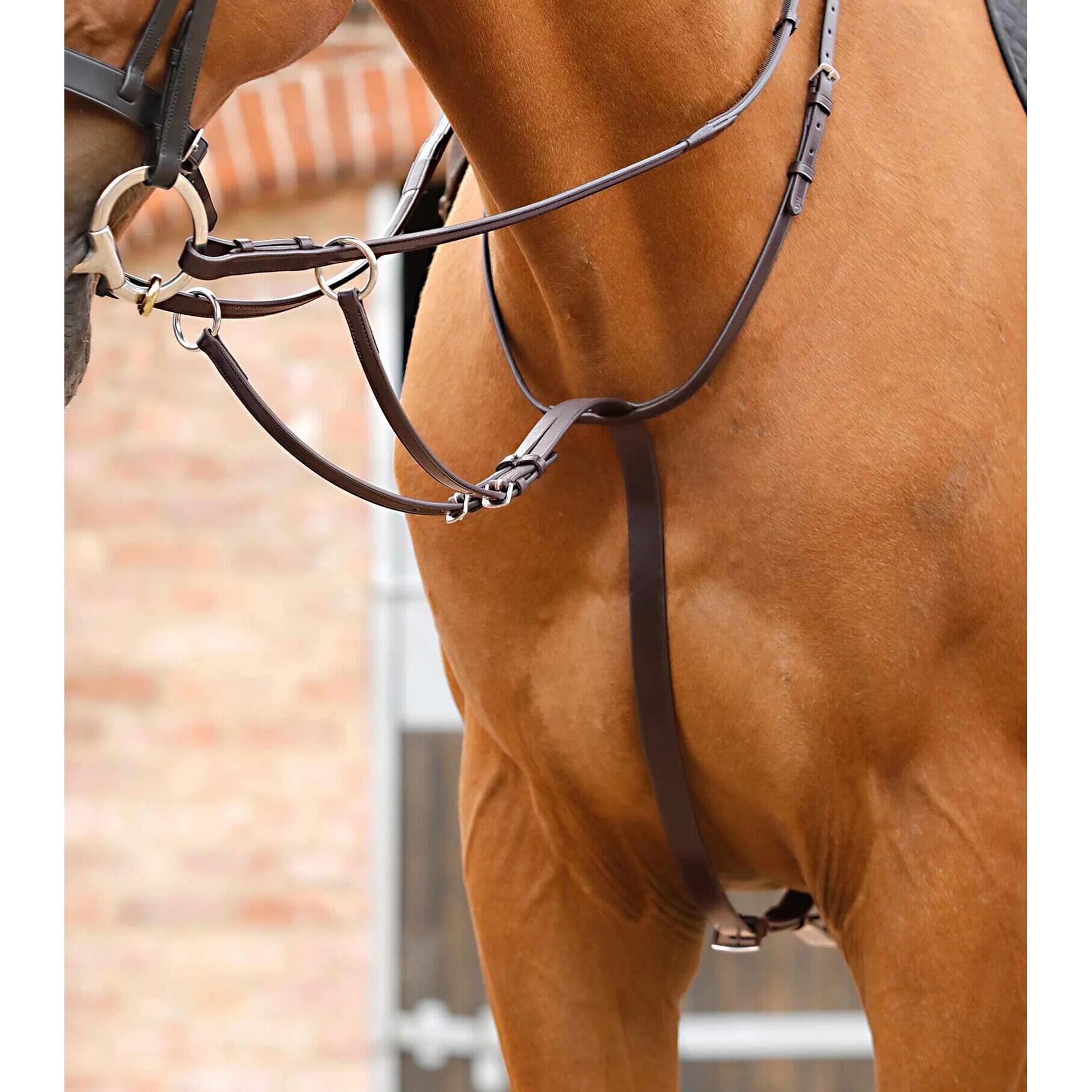 Martingala da corsa regolabile Premier Equine Santadi 3/4