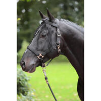 Frontal anti-mouche Kerbl