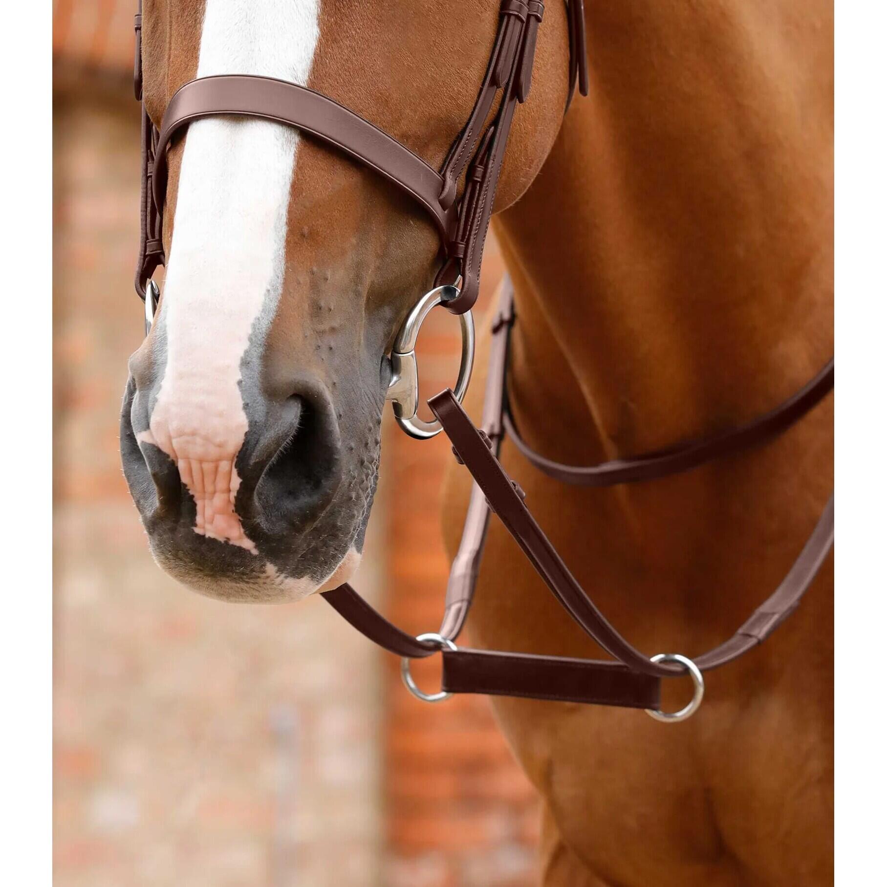 Martingala per cavalli Premier Equine Esperia Irish 4/4