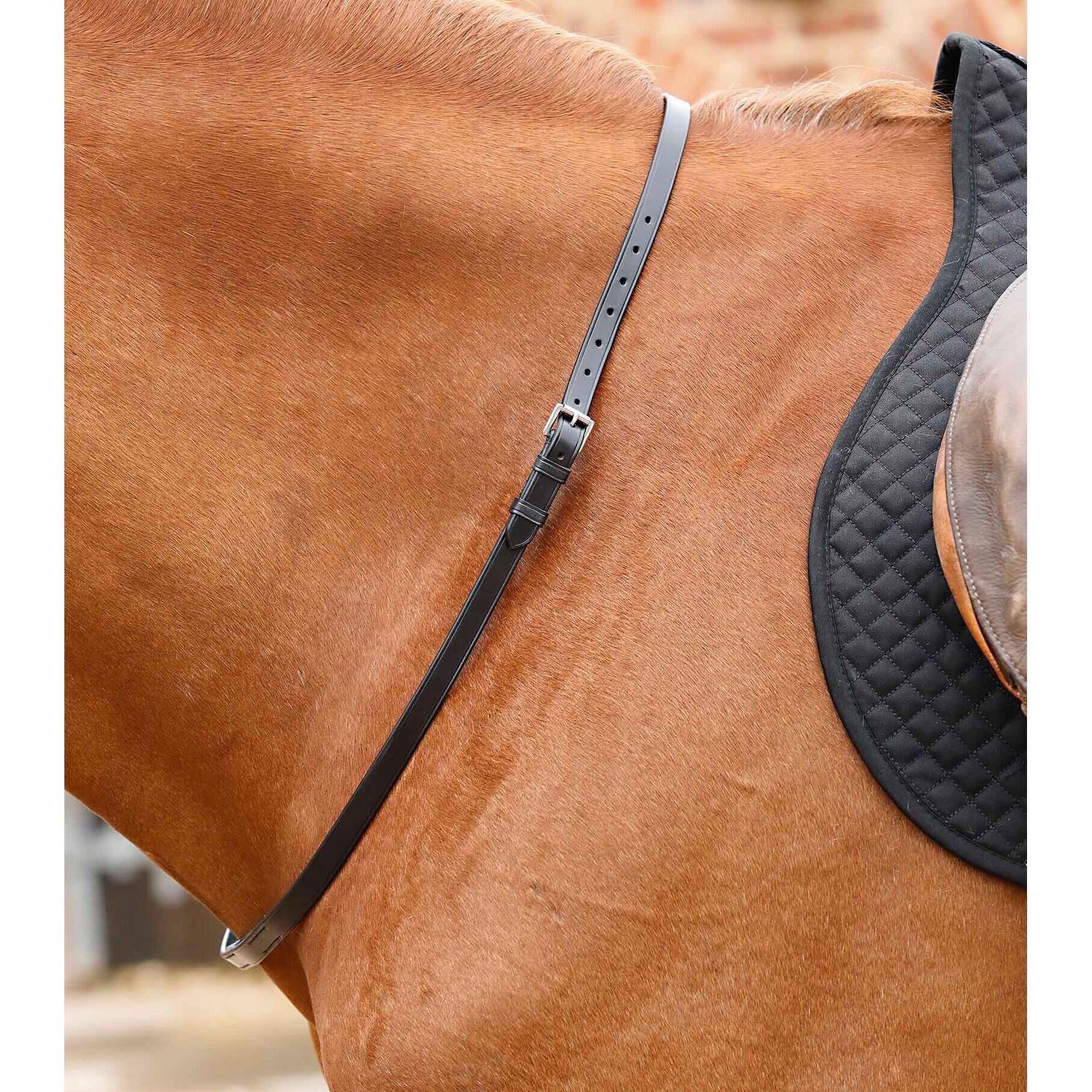 Cinghia da collo per cavalli Premier Equine Altino 3/4