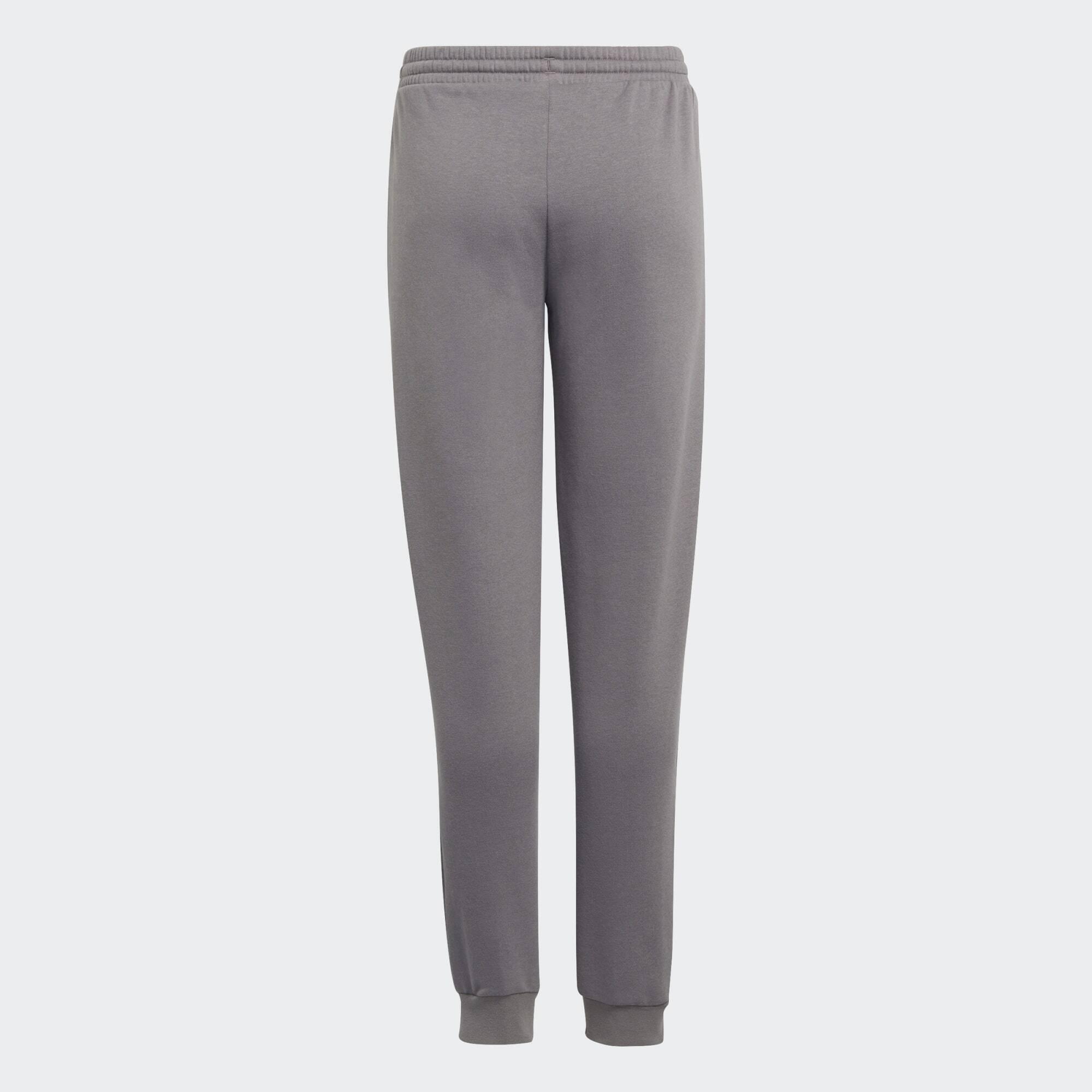 Pantalon de survêtement Entrada 22 4/5