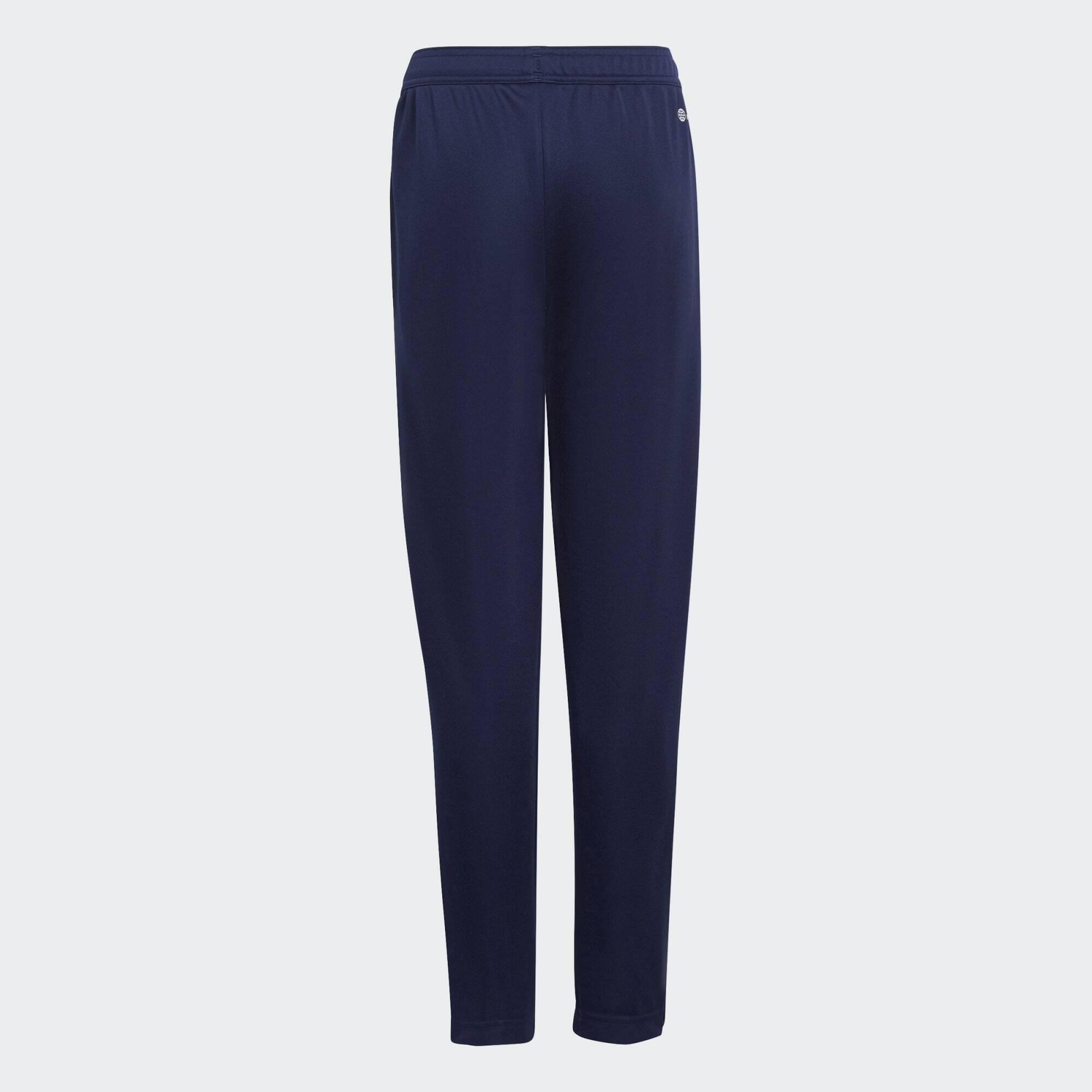 Pantaloni da allenamento Entrada 22 4/5