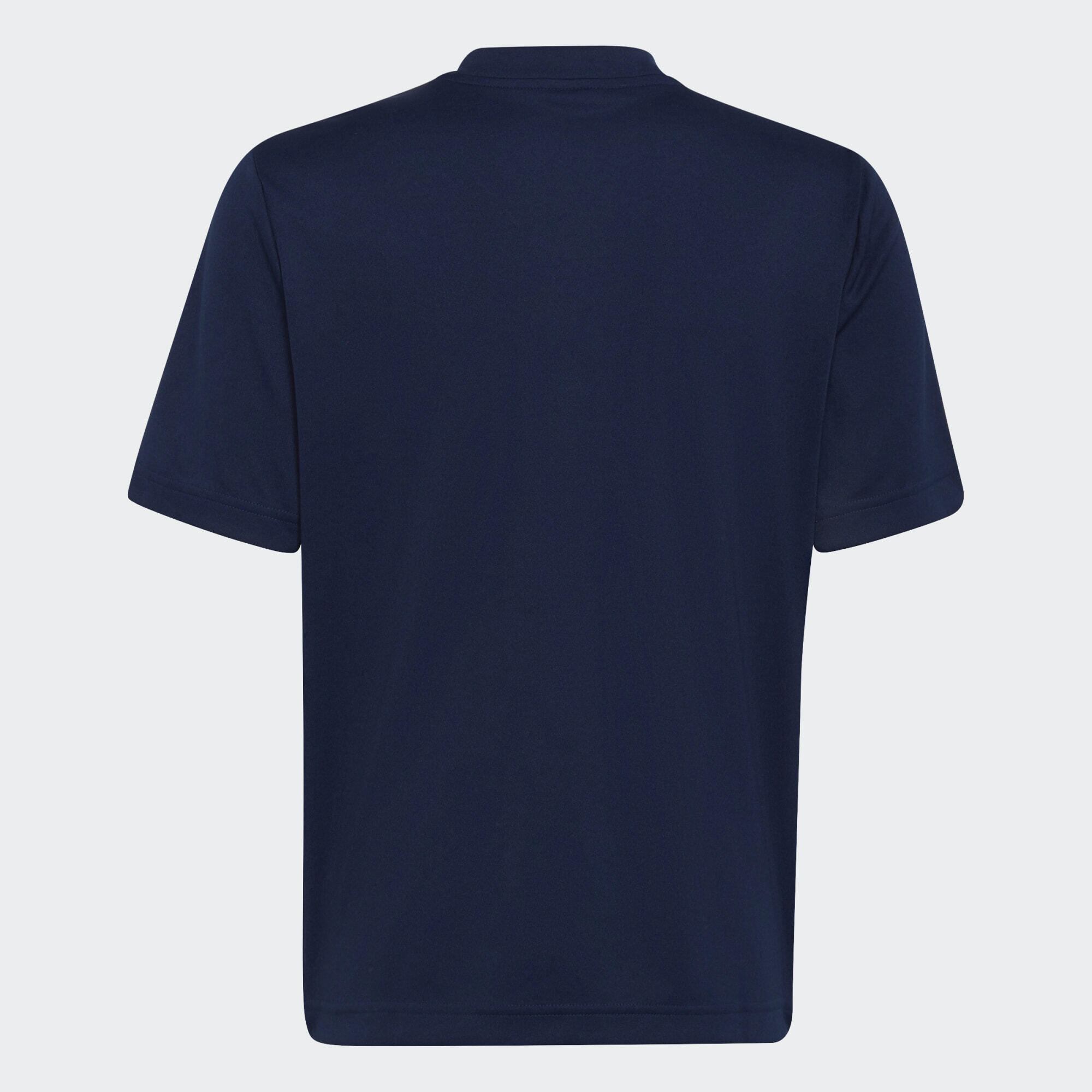 Entrada 22 Graphic Jersey 4/5