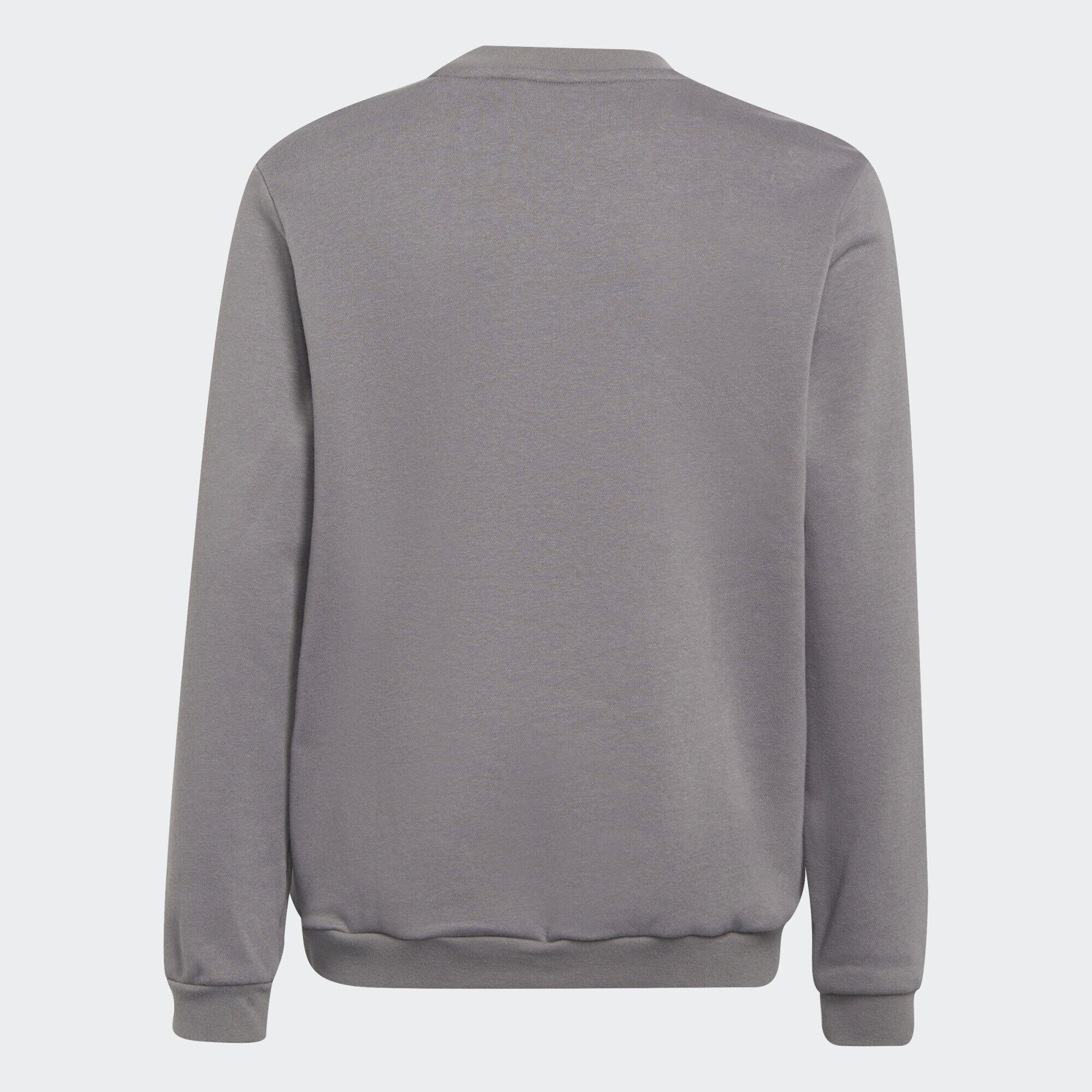 Sudadera Entrada 22 4/5