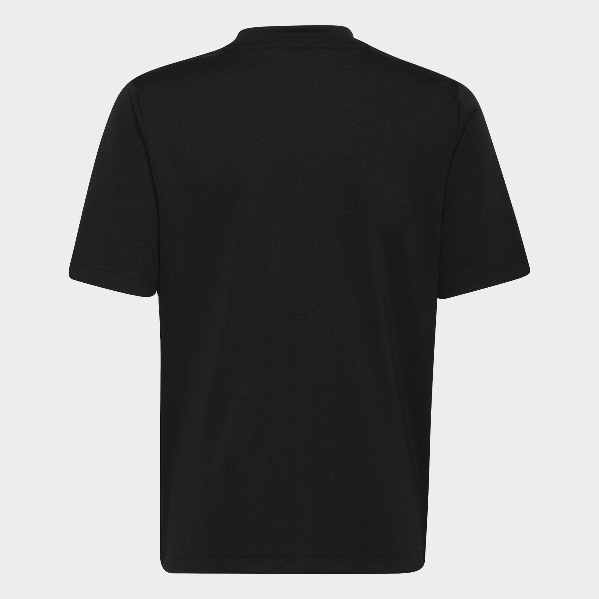 Maglia Entrada 22 Graphic 4/5