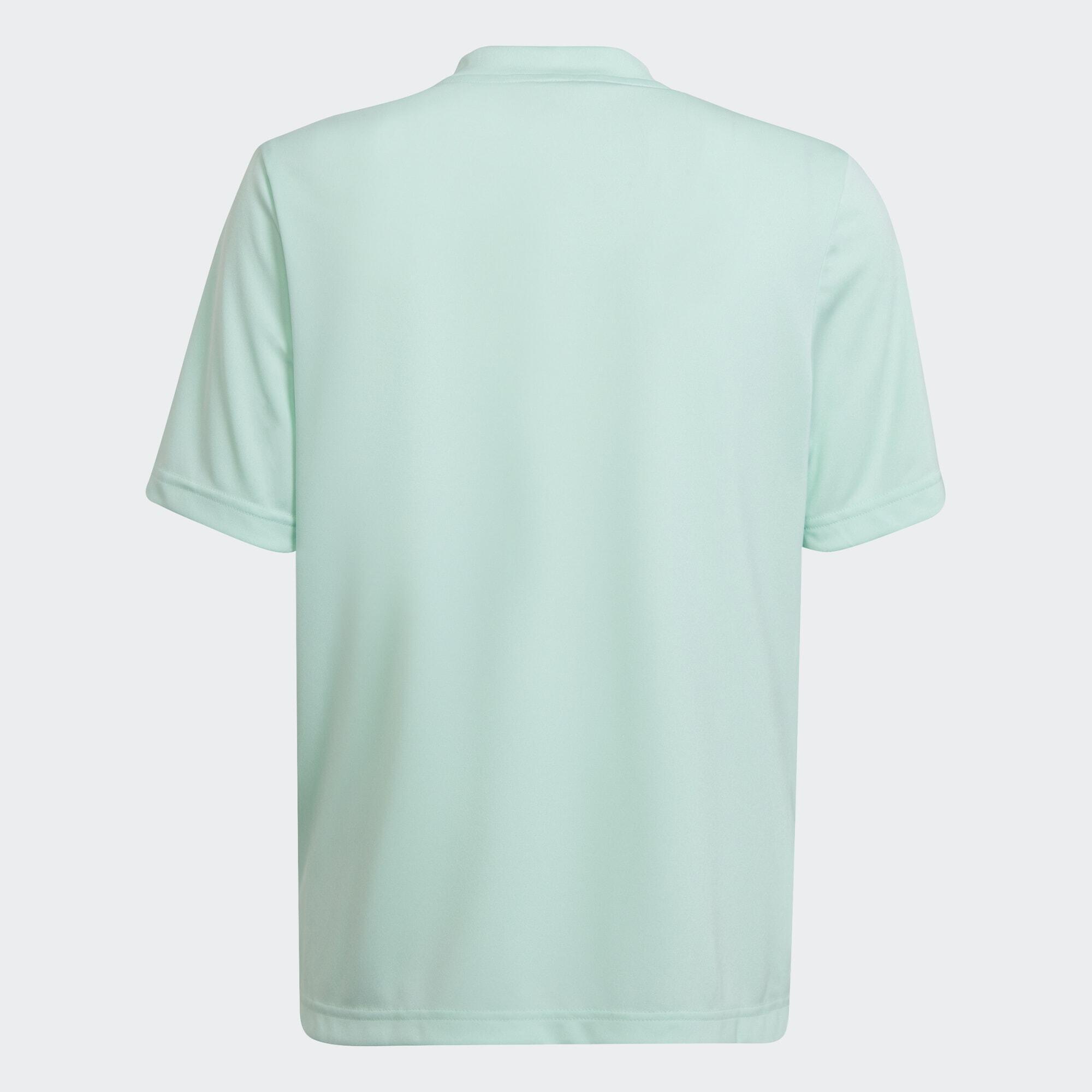 Entrada 22 Graphic Voetbalshirt 4/5