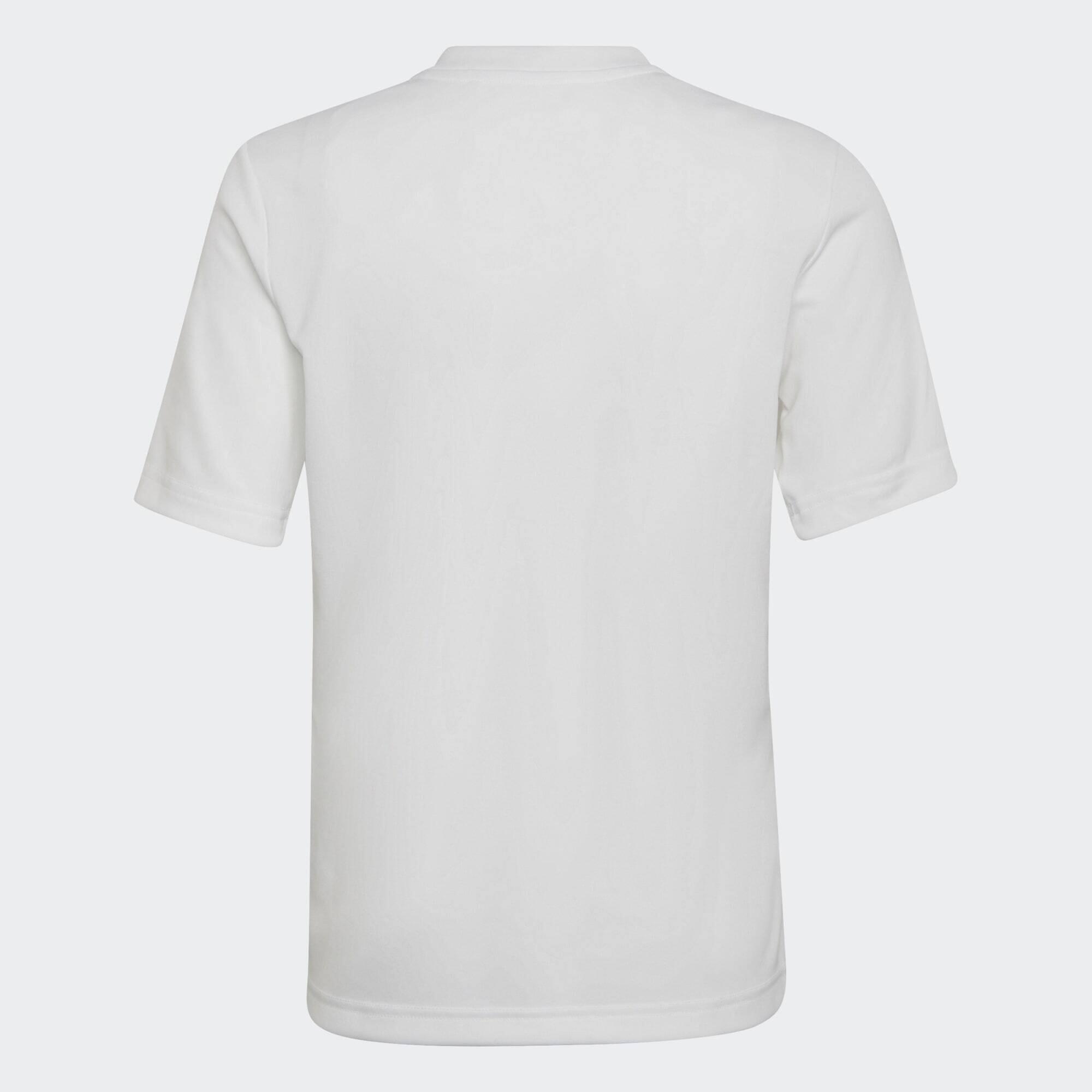 Maglia Entrada 22 Graphic 4/5