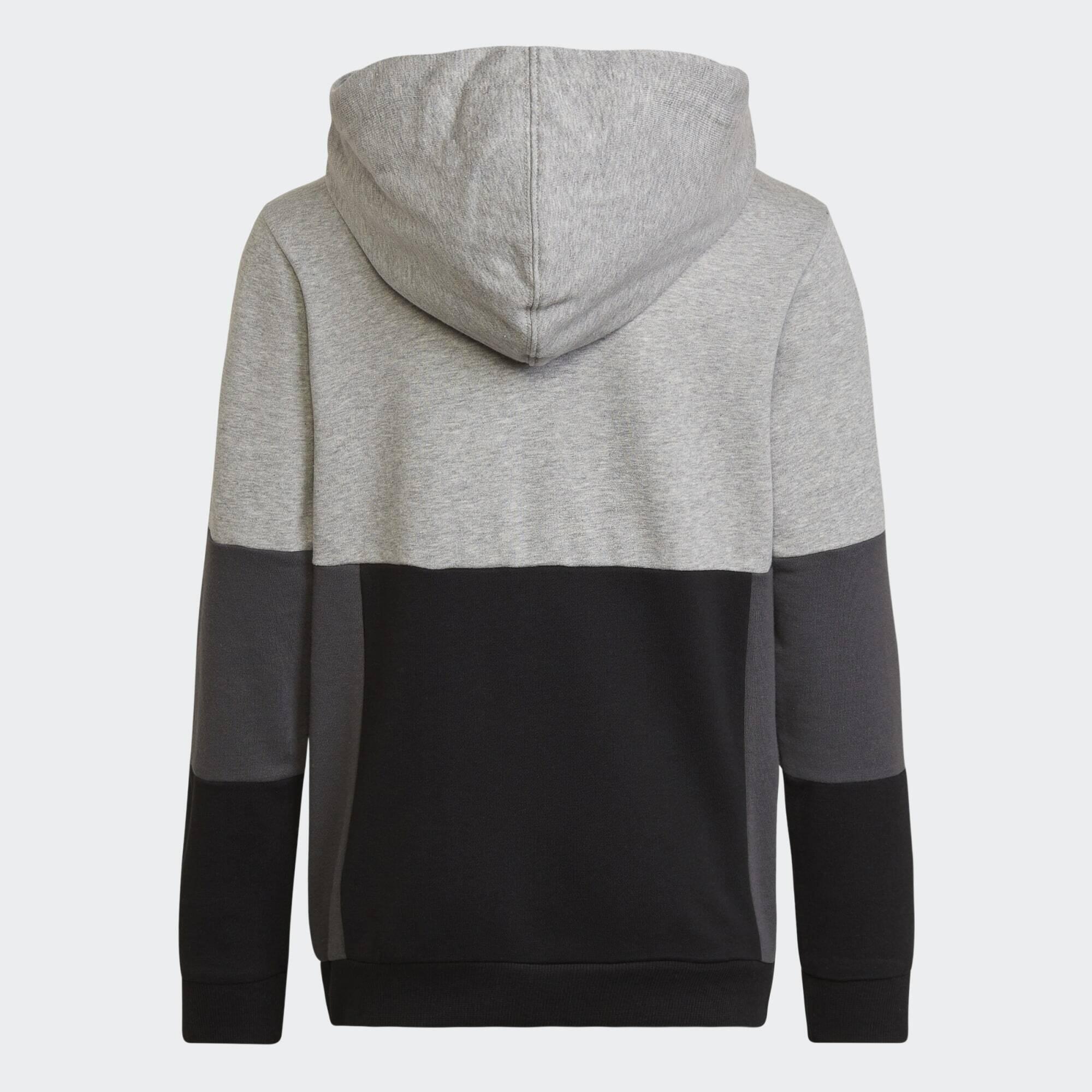 Colorblock Hoodie 4/5