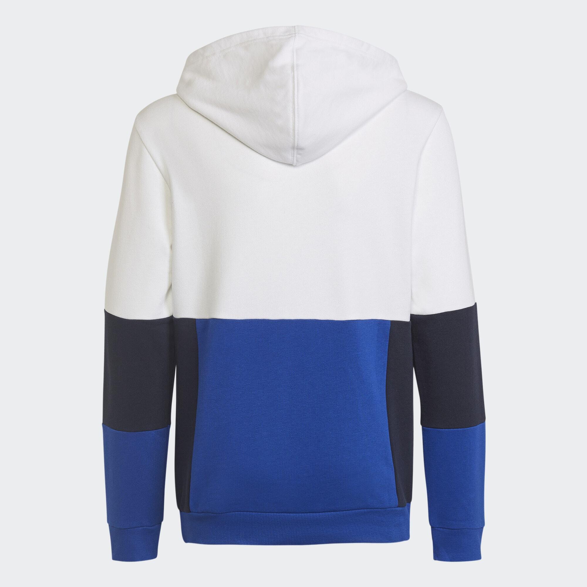 Colorblock Hoodie 4/5