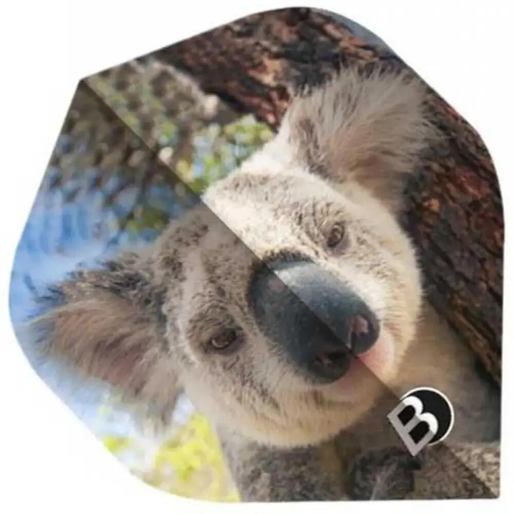 Bull's Darts toll koala 3/3