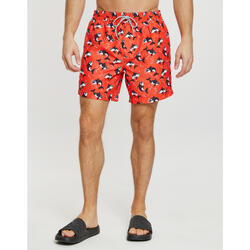 Short De Bain Hommes THREADBARE