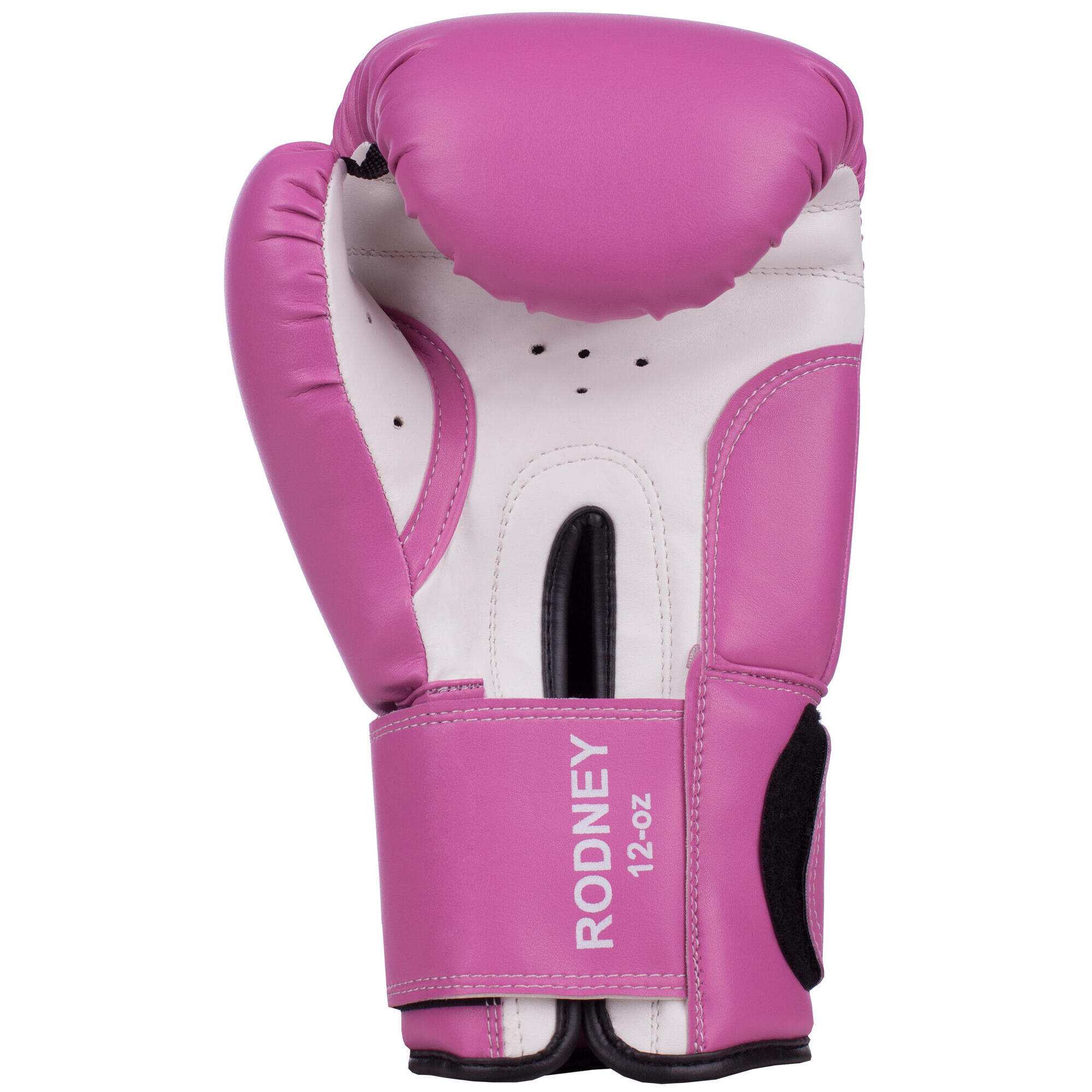 Benlee Rodney boxing gloves