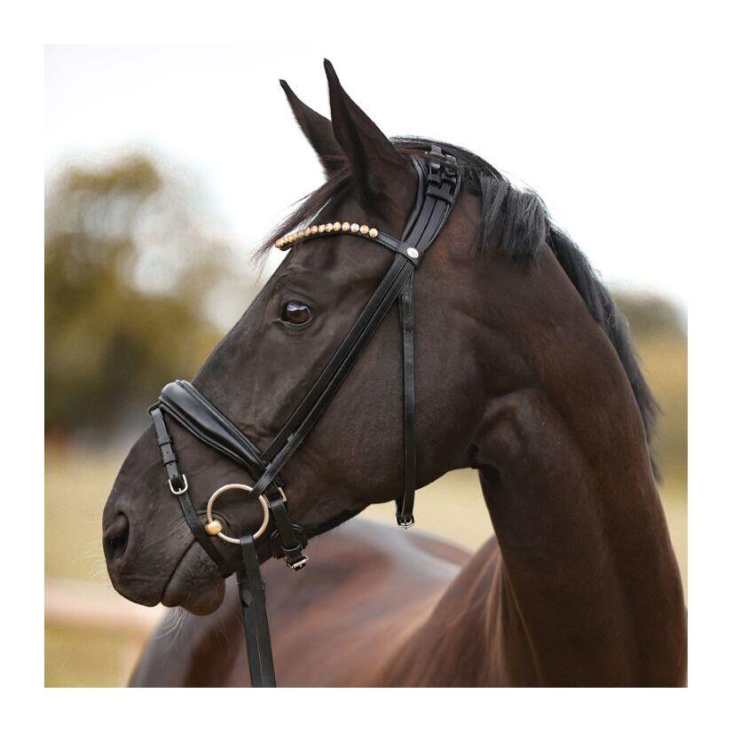 Leather bridle Kavalkade Fortuna