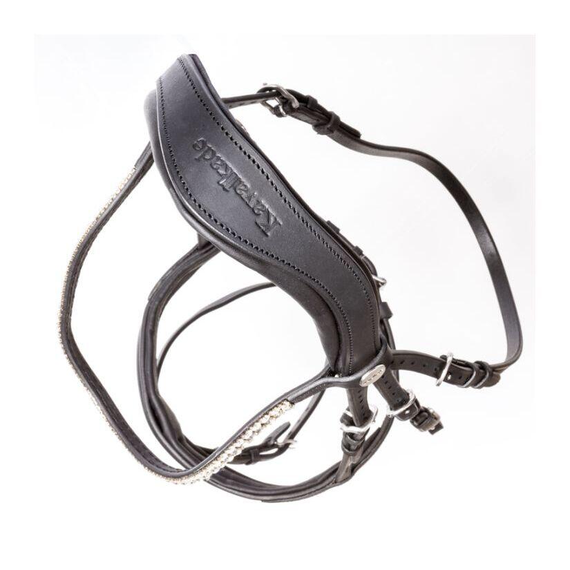 Bridles Kavalkade Everness