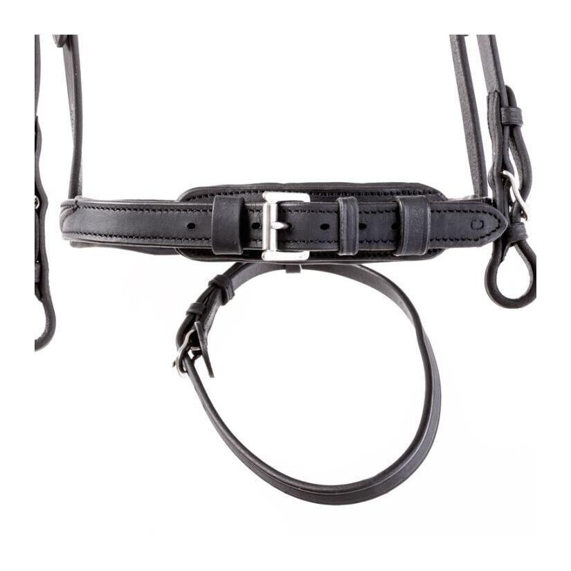 Bridas de equitación Kavalkade Everness 4/4