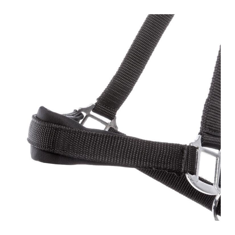 Licol pour cheval Kavalkade Perlon Classic-Simple 2/2