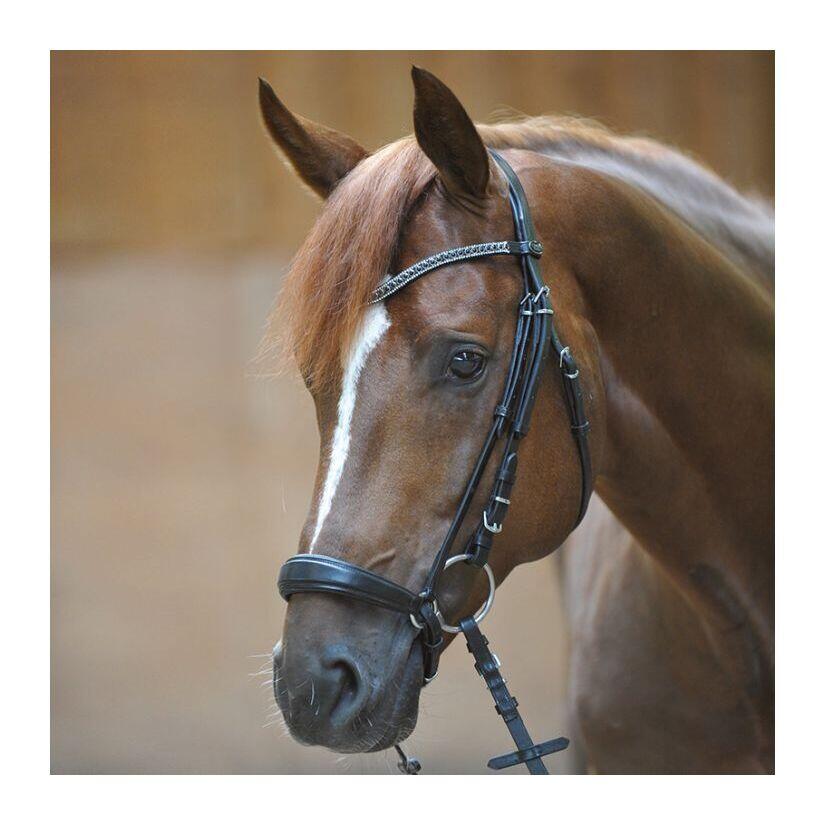 Hanoverian noseband bridle Kavalkade Isabella