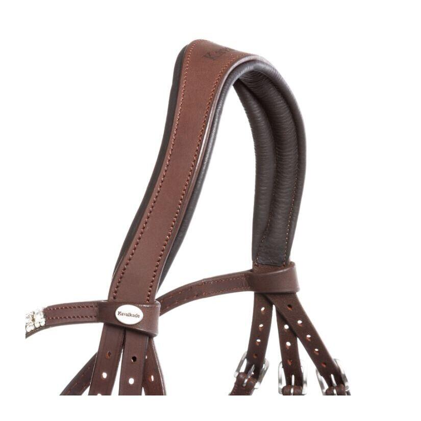Bridas de equitación Kavalkade Everness 4/6