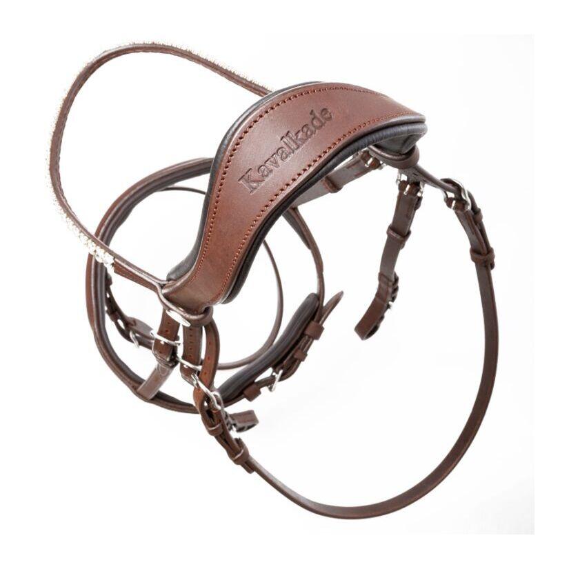 Bridas de equitación Kavalkade Everness 5/6