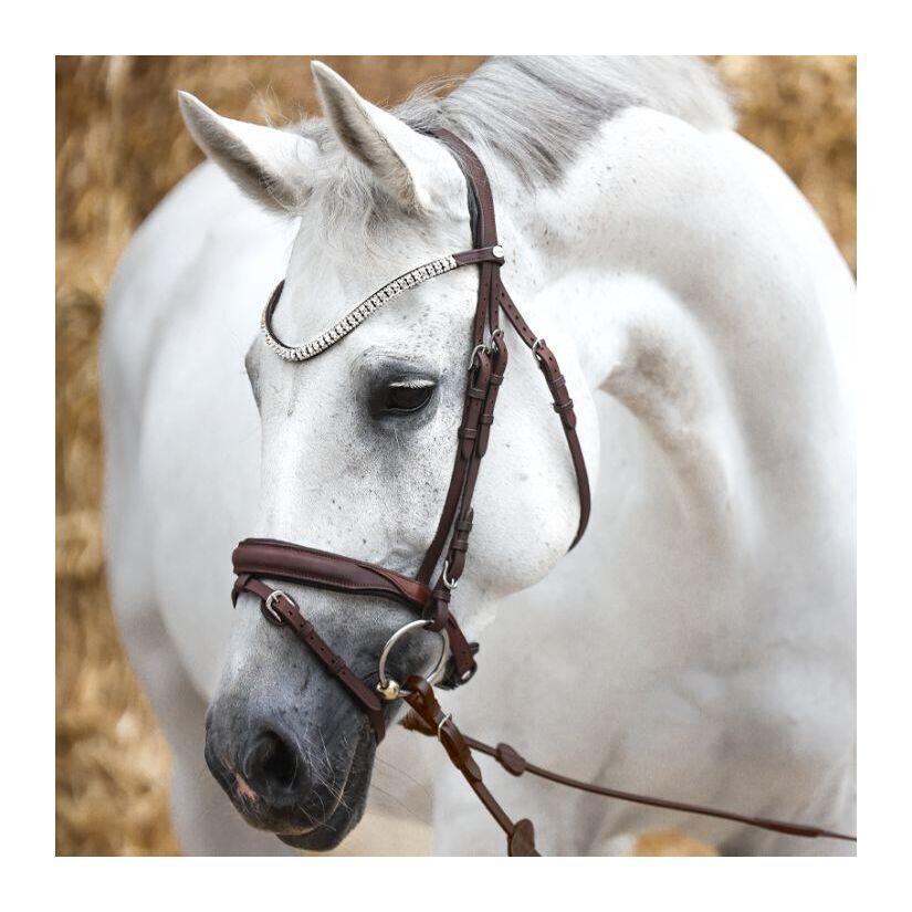 Bridas de equitación Kavalkade Everness 2/6