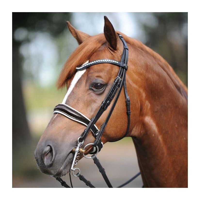 Bridles Kavalkade Weymouth - Antonia