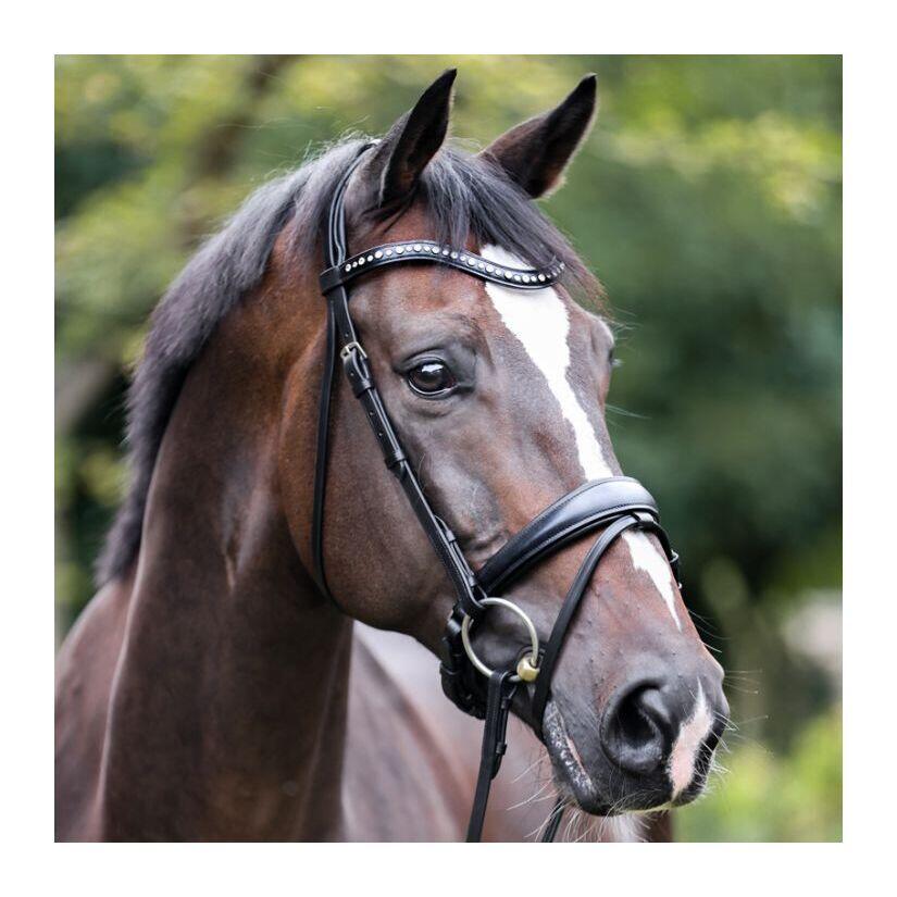 Swedish noseband bridle Kavalkade Mia