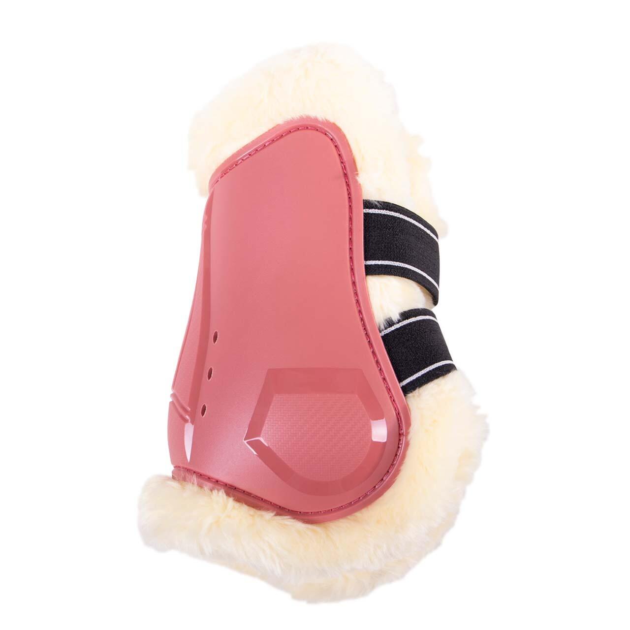 Fetlock guards for horses QHP Ontario