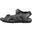 Chaussure universel hommes Geox Strada
